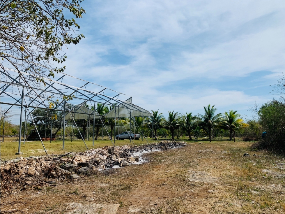 Venta de rancho en Yobain Yucatán - 5