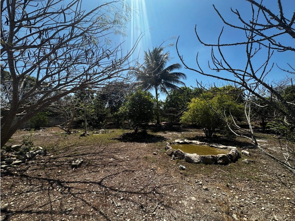 Terreno en venta en Paraíso Progreso con árboles frutales — foto 6