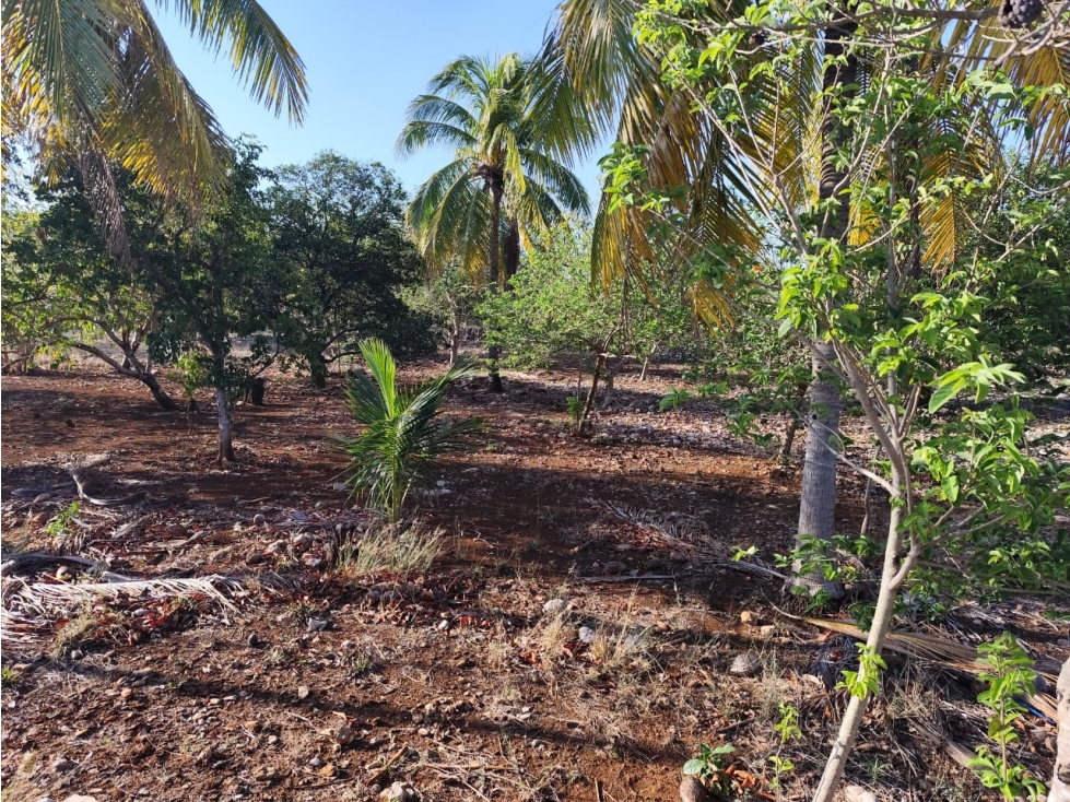 Terreno en Venta en Yucatán Mérida con superficie de 4000 metros. — foto 5