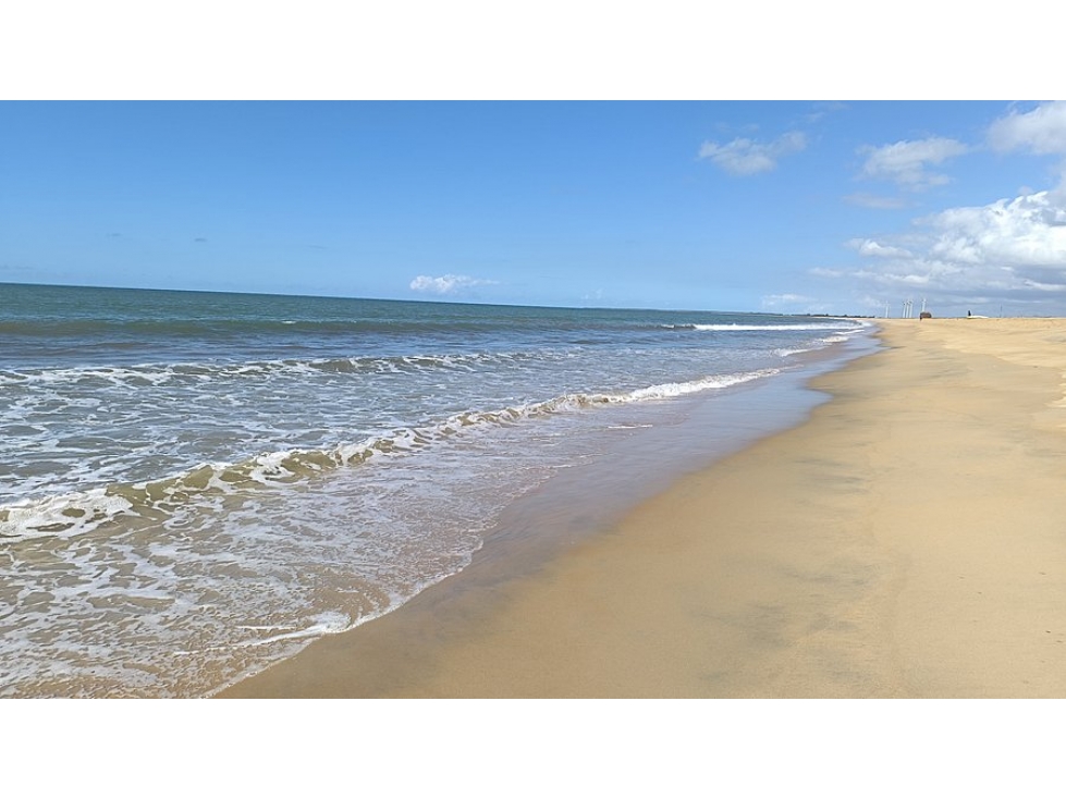Terreno en Venta en la playa de Santa Clara, Yucatán - 5