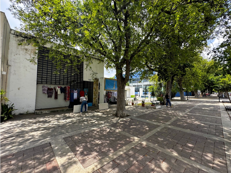 Renta de local comercial, Sobre Paseo de Montejo en Mérida - 4