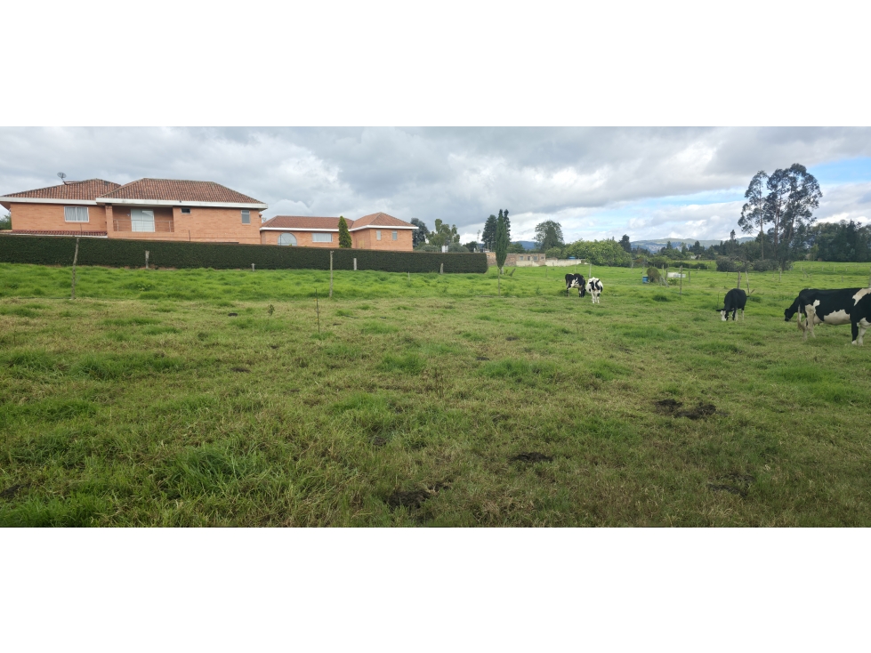 Lote Guaymaral - Bogotá