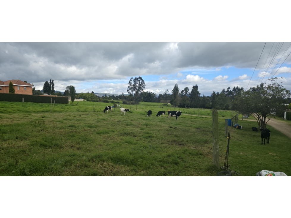 Lote Guaymaral - Bogotá — foto 4
