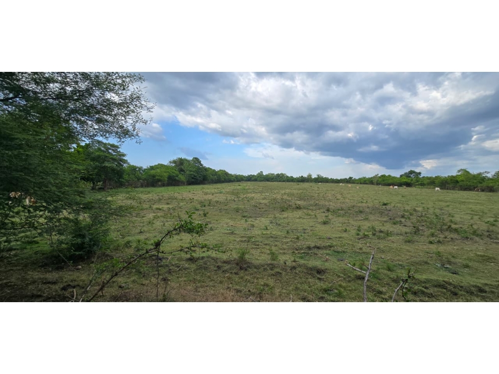 Cartagena Venta Finca en Repelón - 1
