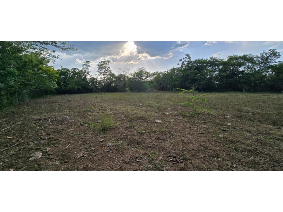 Cartagena Venta Finca en Repelón - 4