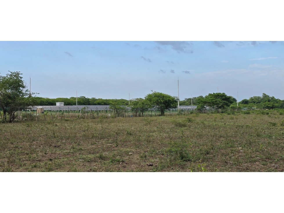 Cartagena Venta Finca en Repelón - 5