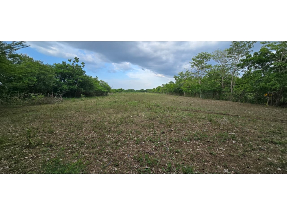 Cartagena Venta Finca en Repelón - 6