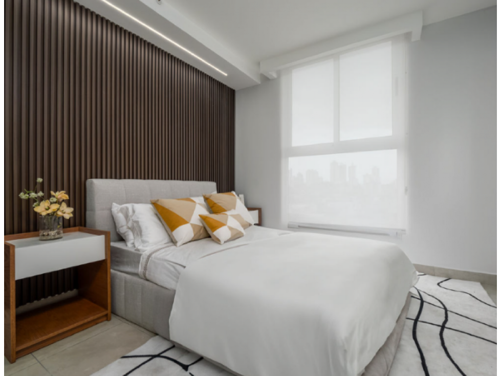Venta de Apartamentos PH ALAI Vía España — foto 6