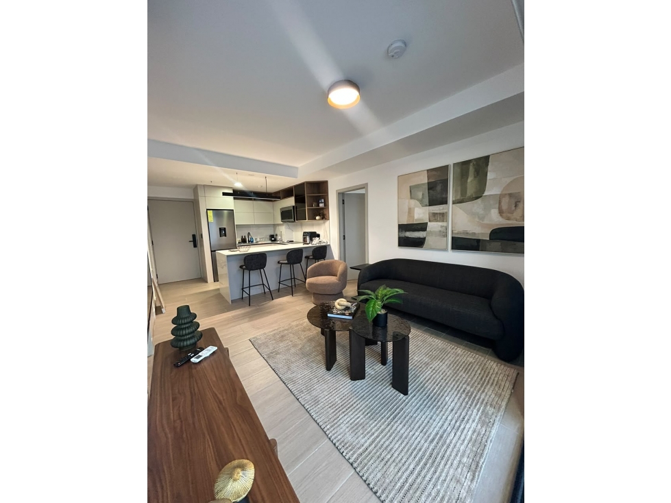 Alquiler de Apartamento AMOBLDO en San Francisco PH THE HUB