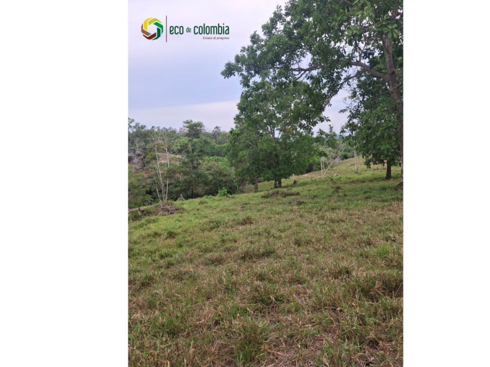 Finca