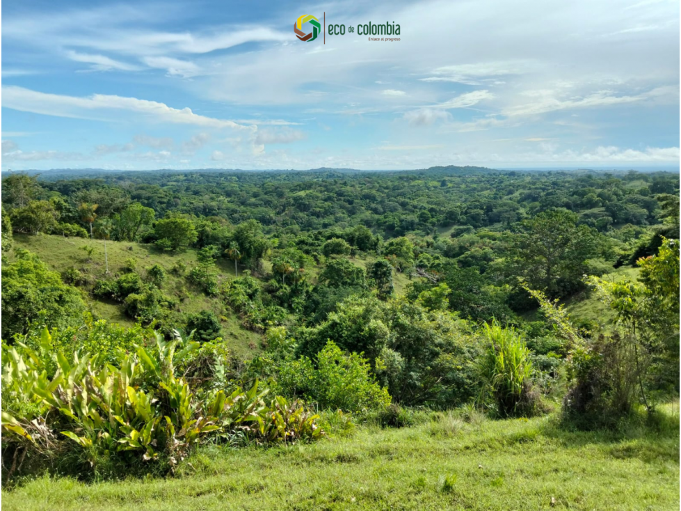 PROPIEDAD RURAL EN VENTA N788 - 1