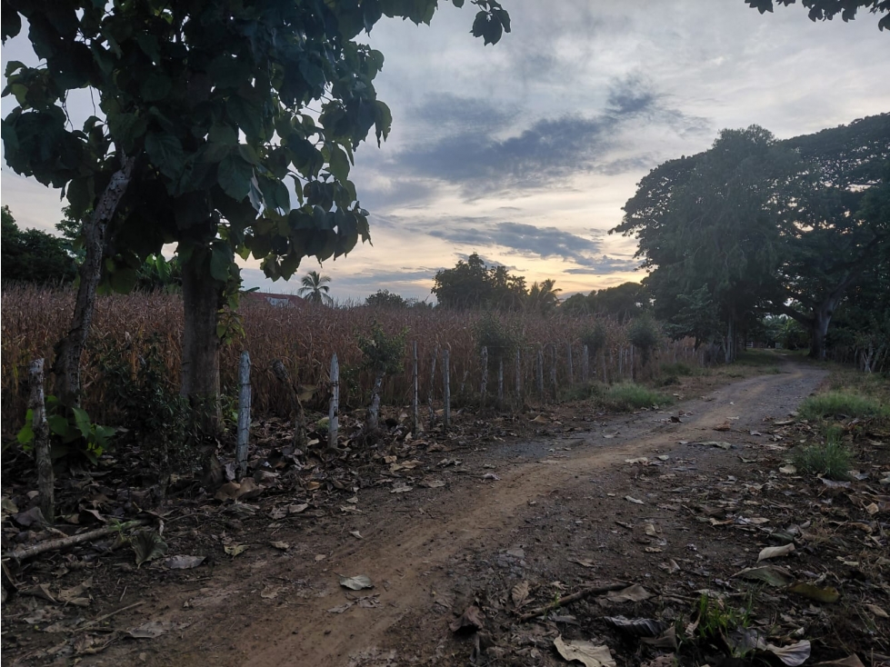 EN VENTA POPIEDAD RURAL N848 - 2