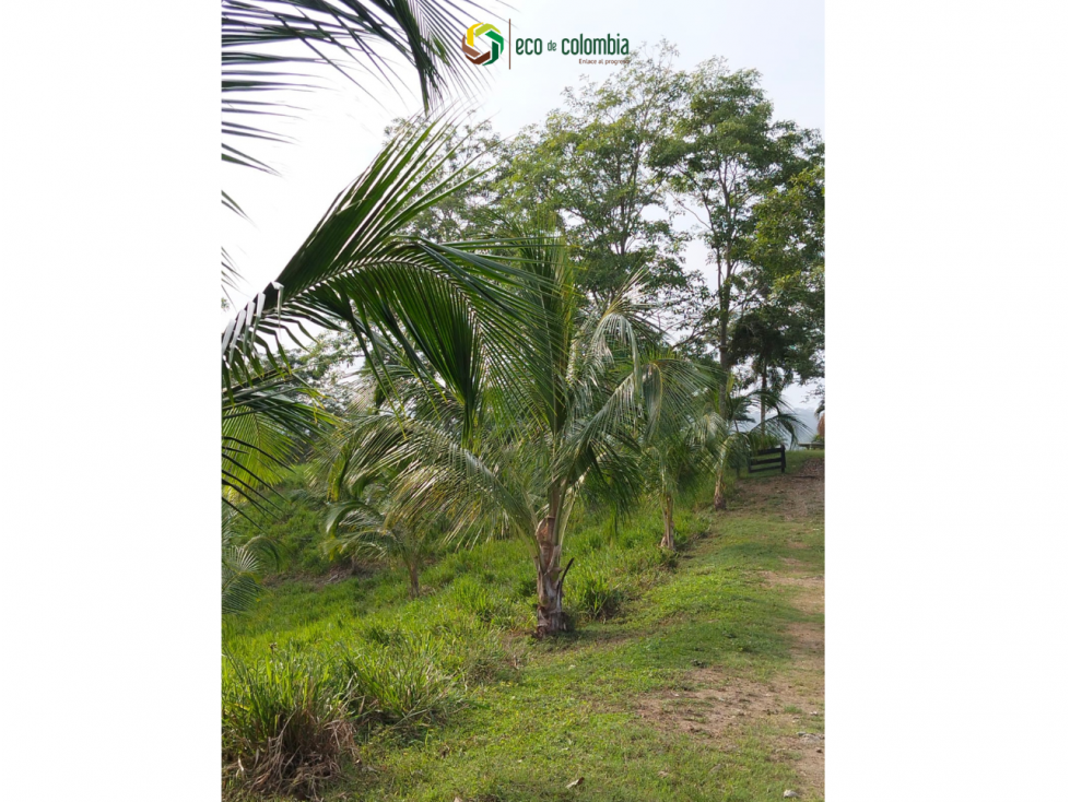 PROPIEDAD RURAL EN VENTA N788 - 2