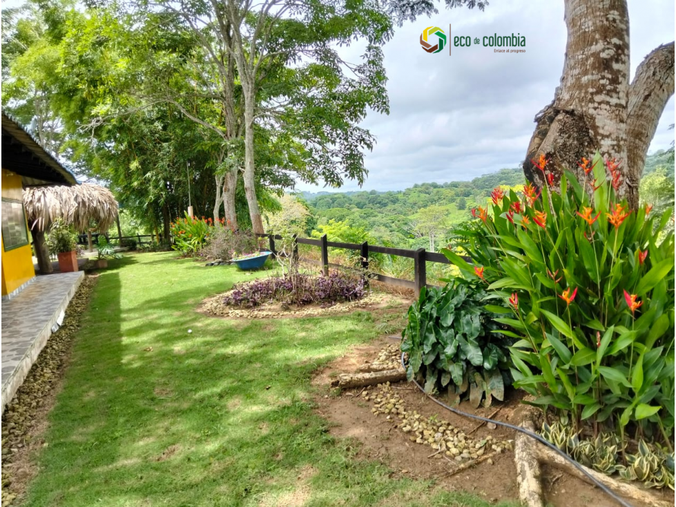 PROPIEDAD RURAL EN VENTA N788 - 3