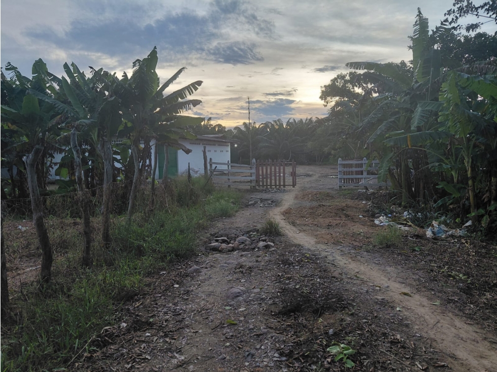 EN VENTA POPIEDAD RURAL N848 - 4