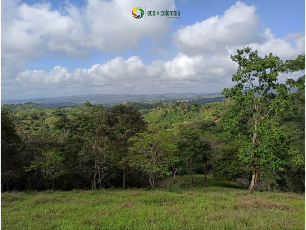 PROPIEDAD RURAL EN VENTA N788 - 4