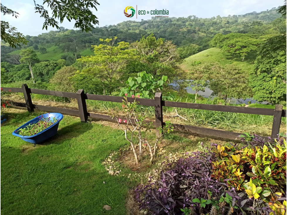 PROPIEDAD RURAL EN VENTA N788 - 5