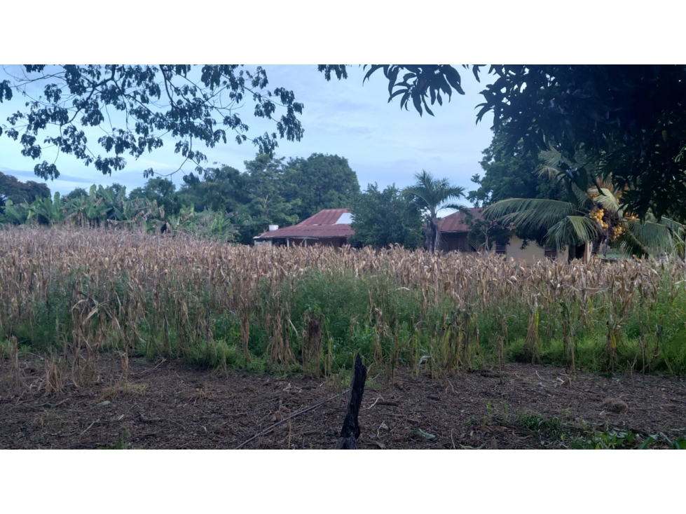 EN VENTA POPIEDAD RURAL N848 - 1