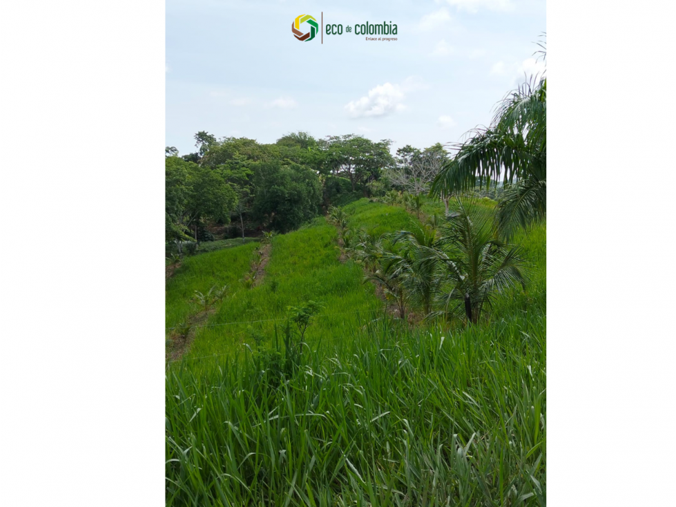 PROPIEDAD RURAL EN VENTA N788 - 6