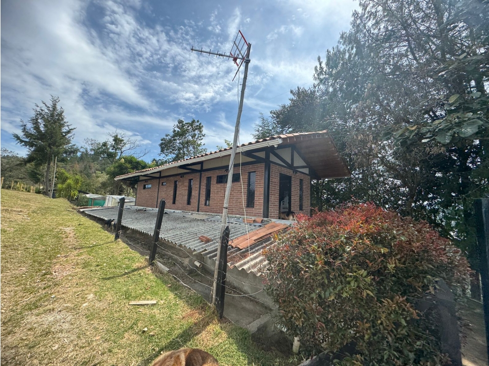 VENTA DE FINCA PRODUCTORA DE AGUACATE EN ABEJORRAL - 1