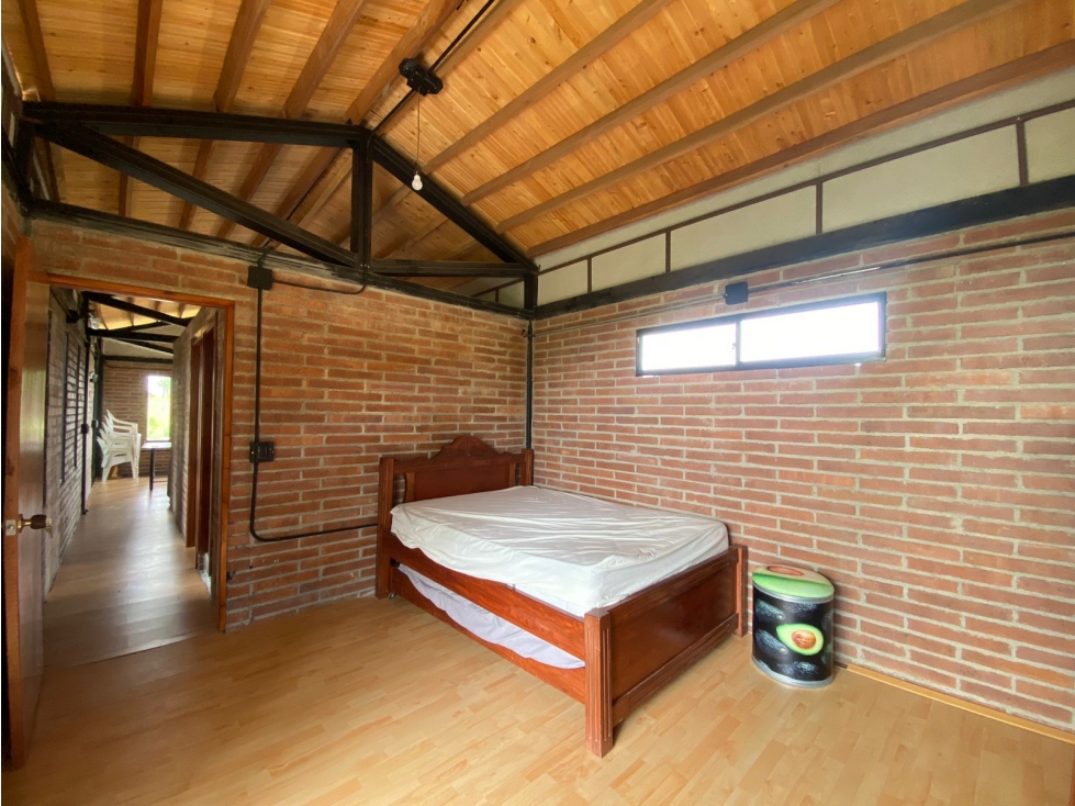 VENTA DE FINCA PRODUCTORA DE AGUACATE EN ABEJORRAL - 3