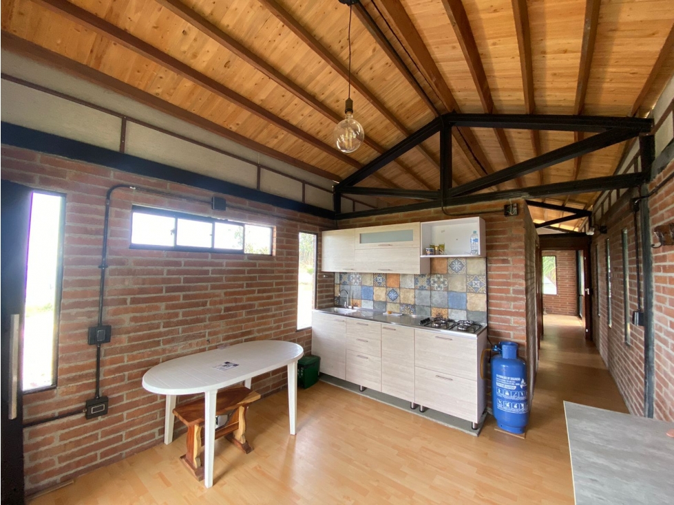 VENTA DE FINCA PRODUCTORA DE AGUACATE EN ABEJORRAL - 4