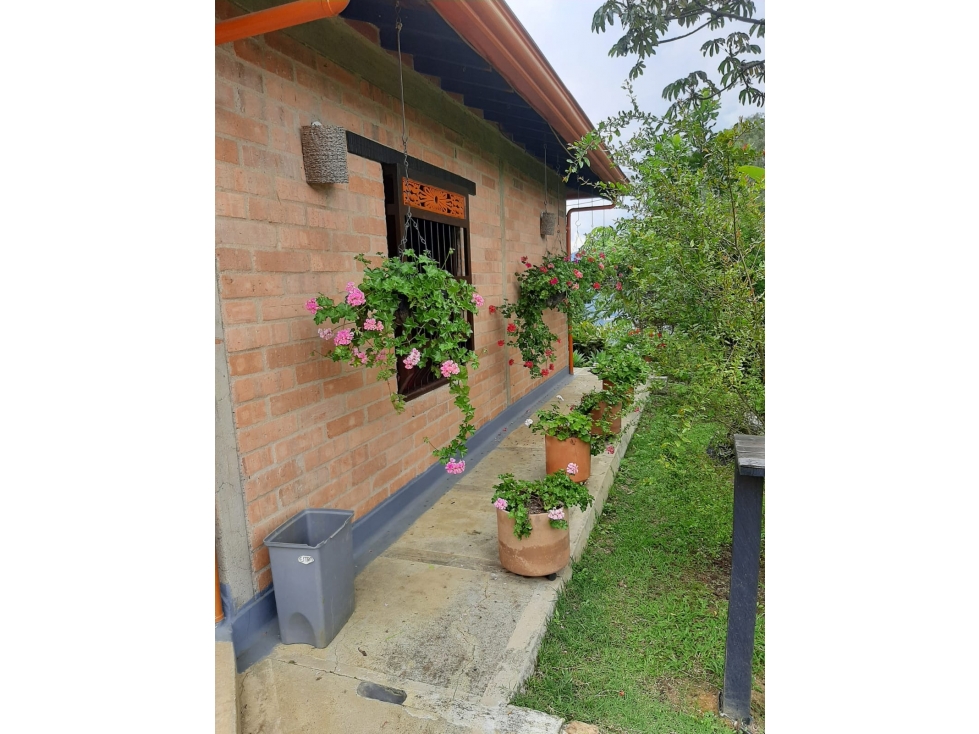 Se Vende Finca en Copacabana - 4