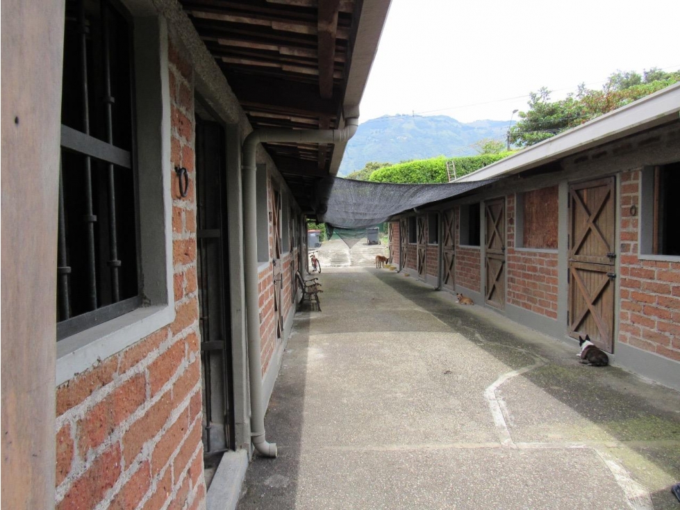 SE VENDE FINCA EN GIRARDOTA — foto 6