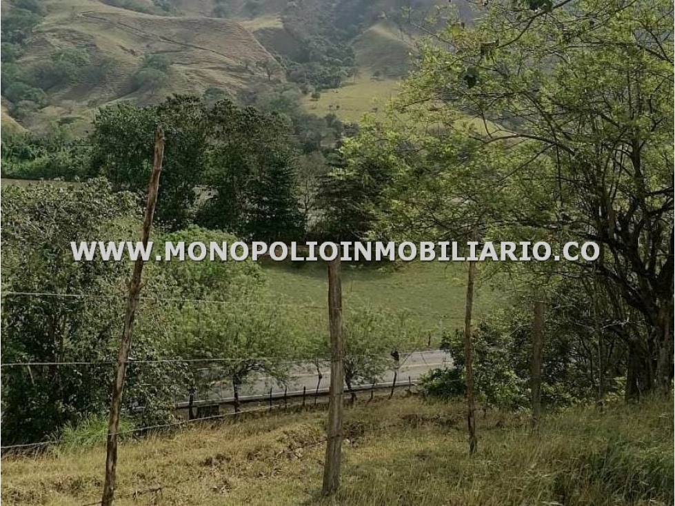 LOTE EN VENTA - SECTOR SANTA FE DE ANTIOQUIA COD: 23471 - 2