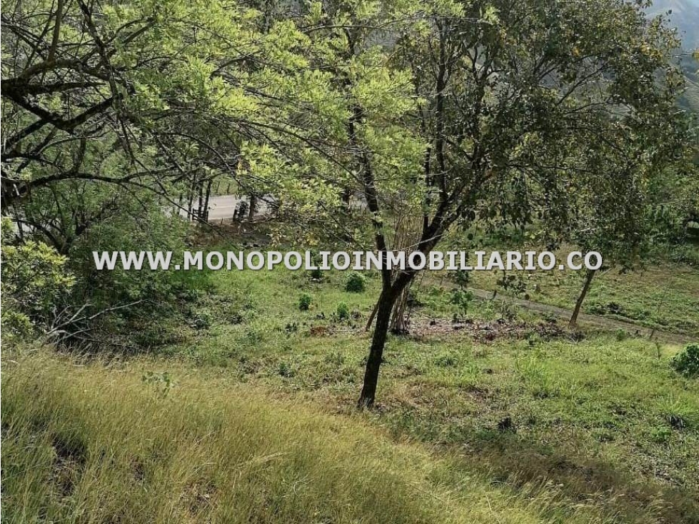 LOTE EN VENTA - SECTOR SANTA FE DE ANTIOQUIA COD: 23471 - 3