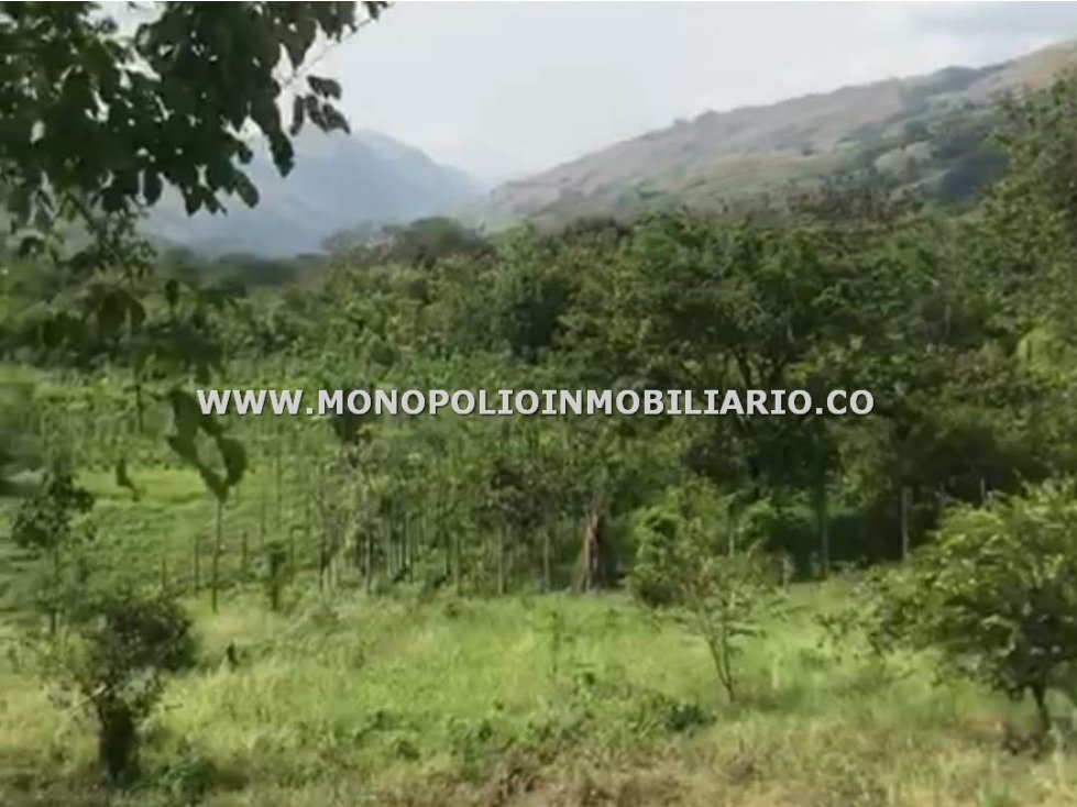 LOTE EN VENTA - SECTOR SANTA FE DE ANTIOQUIA COD: 23471 - 4