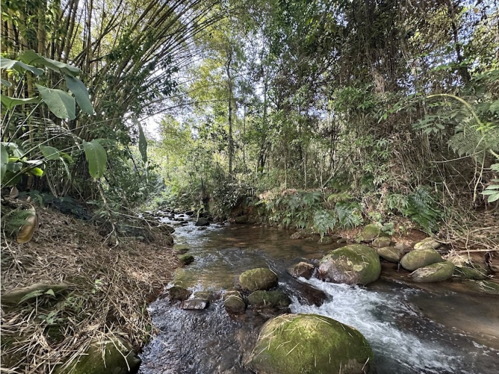 LOTE EN CHORRO DE PLATA PANCE de 1.730 mt2 en