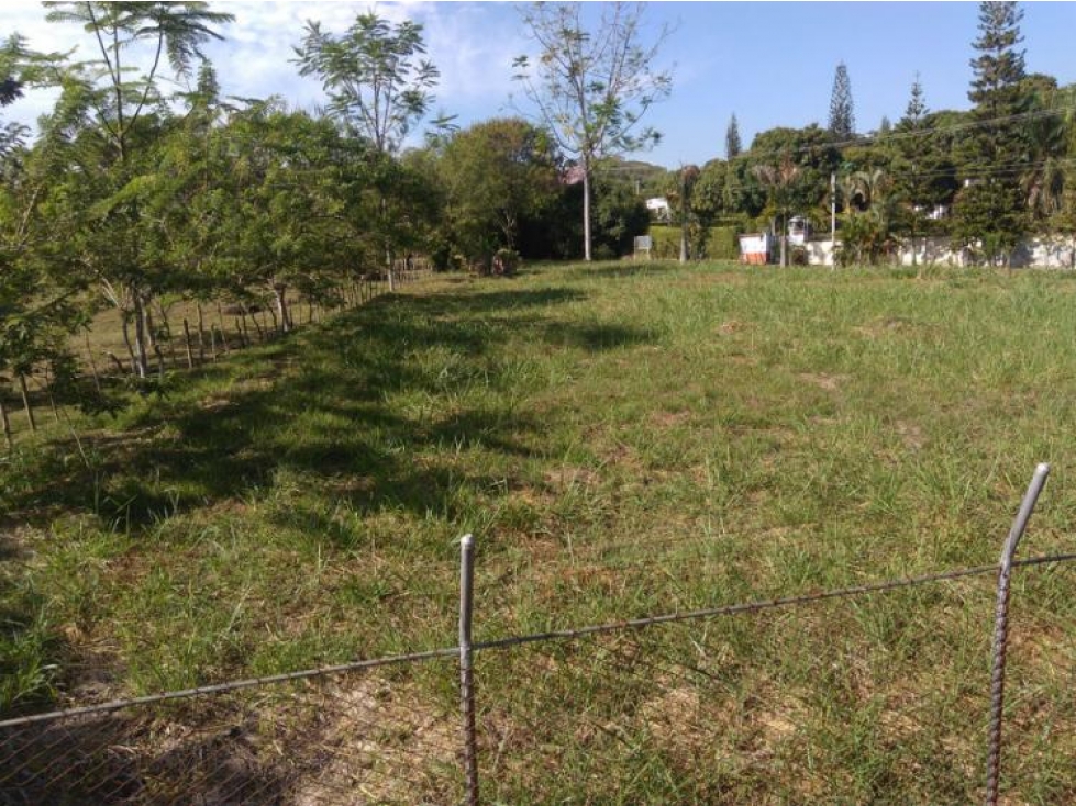 SE VENDE LOTE EN LA BUITRERA PARA CONSTRUIR O CULTIVAR DE 39.000 M2