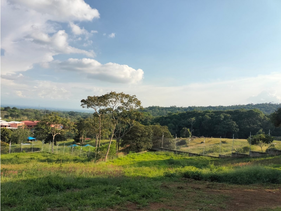 VENTA ESPECTACULAR LOTE EN PANCE - 1