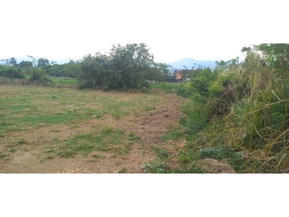 SE VENDE LOTE INDUSTRIAL INDEPENDIENTE EN CENCAR DE 7000 M2 - 3