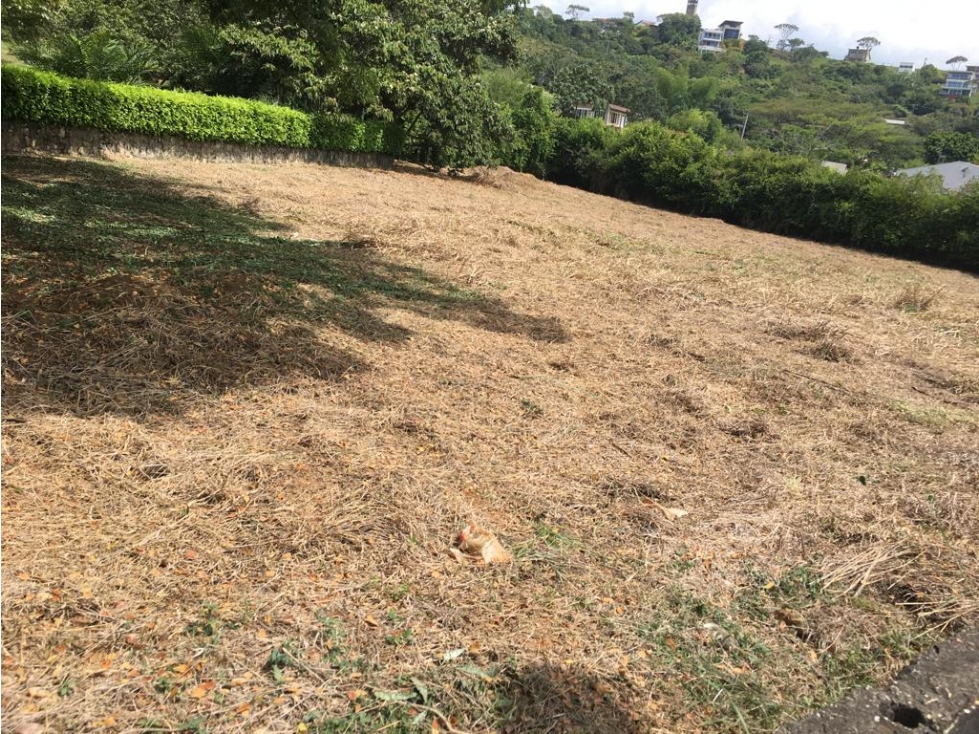 SE VENDE LOTE EN HACIENDAS POTRERITO DE 1600 M2 TOTALMENTE PLANO — foto 2