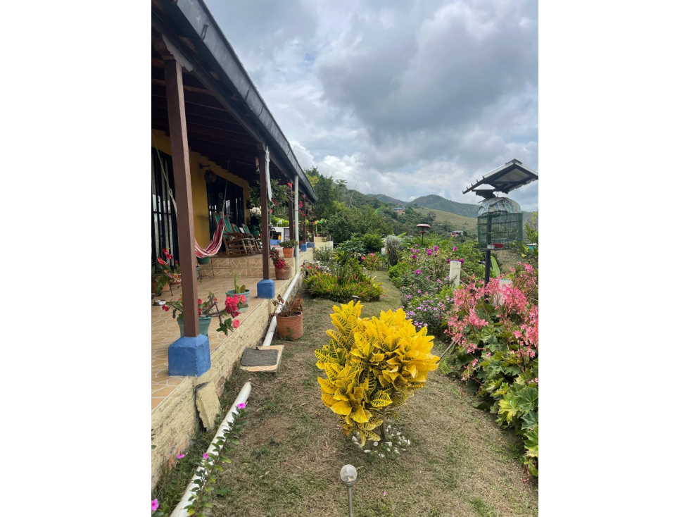 FINCA EN VENTA EN VIJES - 2