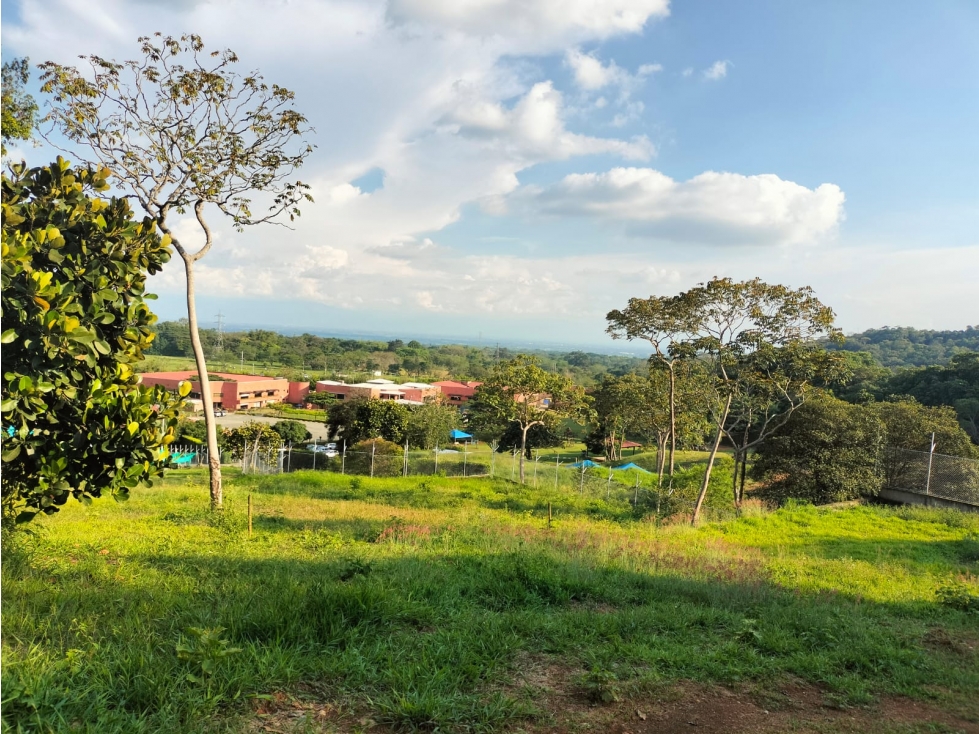 VENTA ESPECTACULAR LOTE EN PANCE - 2