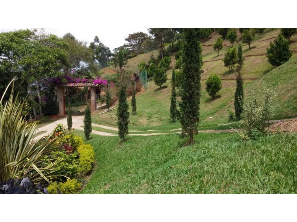SE VENDE CASA CAMPESTRE INDEPENDIENTE EN LA CASTILLA DE 120MIL M2 - 5
