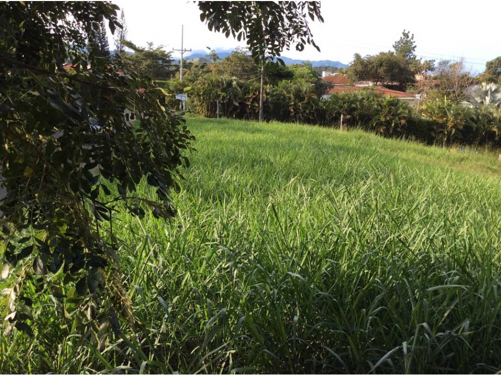 SE VENDE LOTE INDEPENDIENTE EN LA RIVERITA 1.820 Mts2 ESQUINERO — foto 3