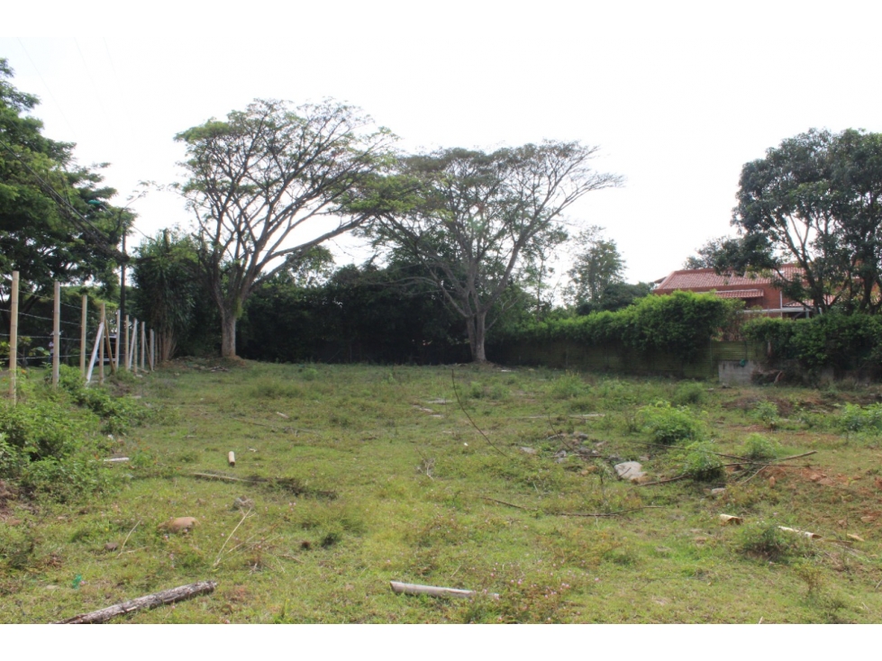 SE VENDE LOTE ESQUINERO EN PANCE — foto 4