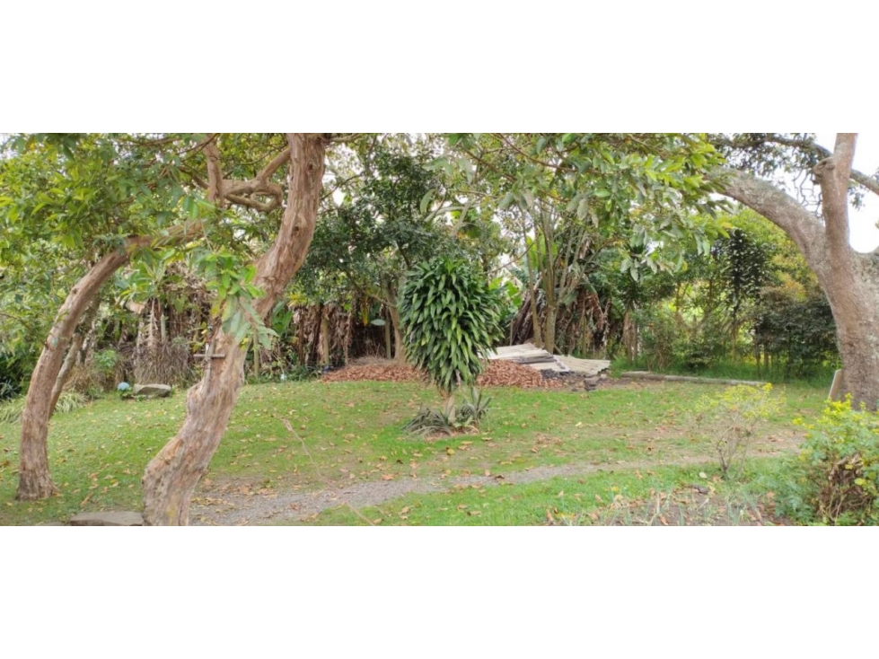 SE VENDE CASA LOTE RIONEGRO SAN ANTONIO DE PEREIRA — foto 3