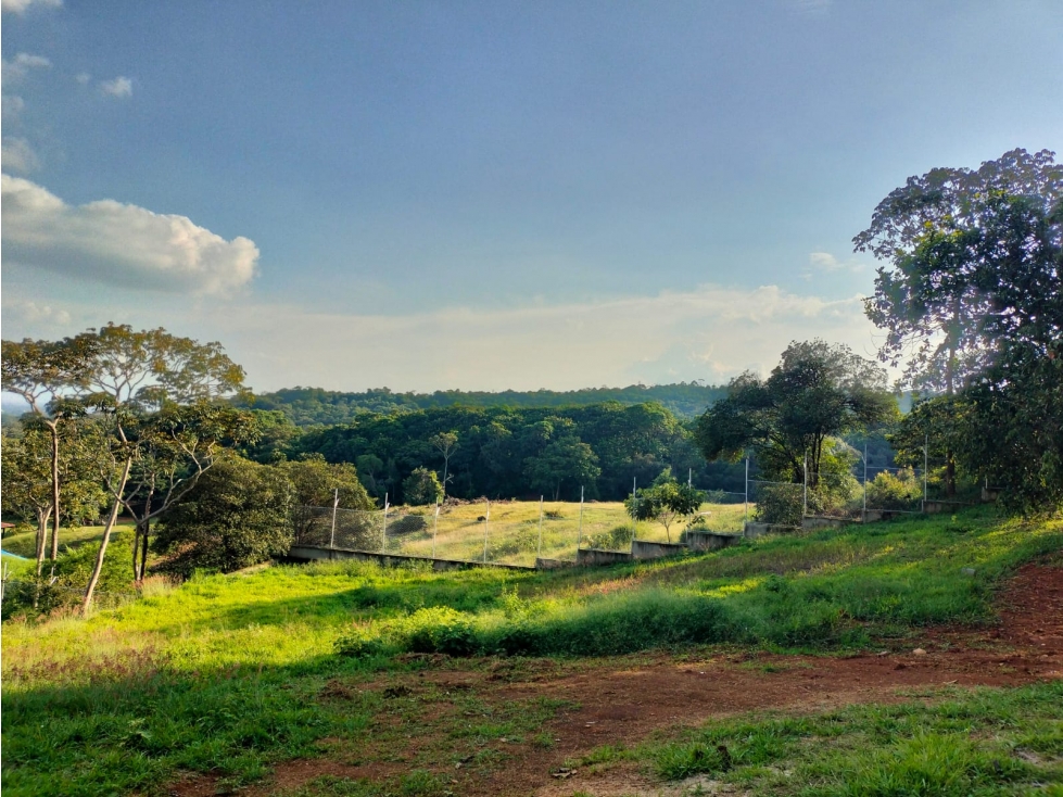 VENTA ESPECTACULAR LOTE EN PANCE - 3