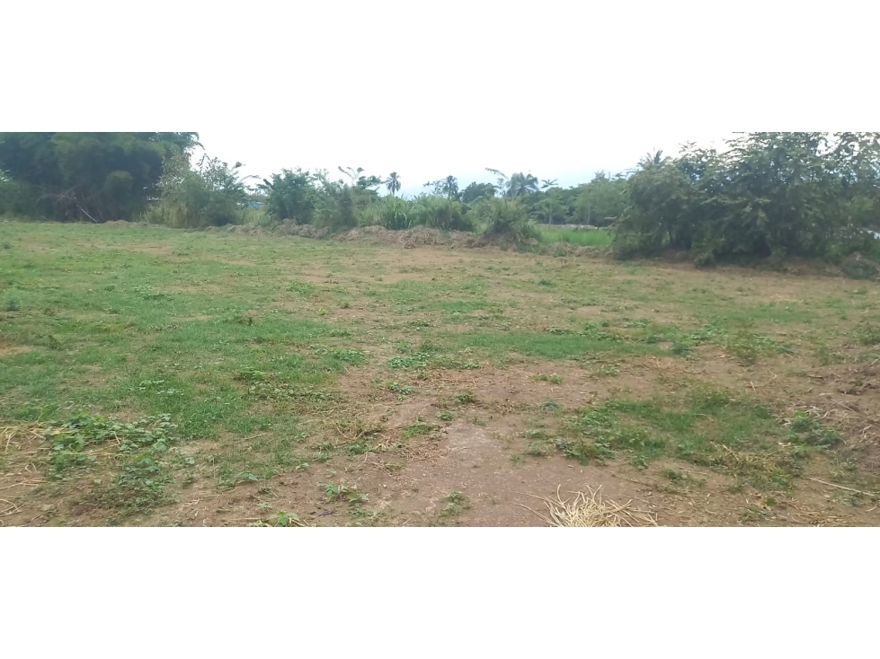 SE VENDE LOTE INDUSTRIAL INDEPENDIENTE EN CENCAR DE 7000 M2 - 2