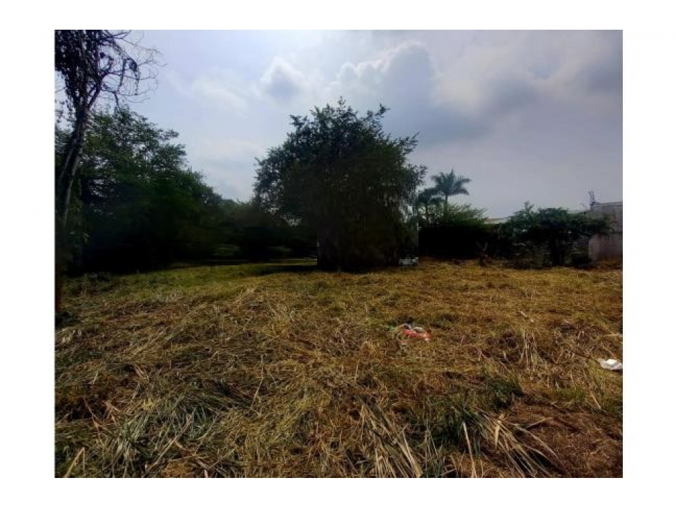Venta de lote Independiente en Pance — foto 3