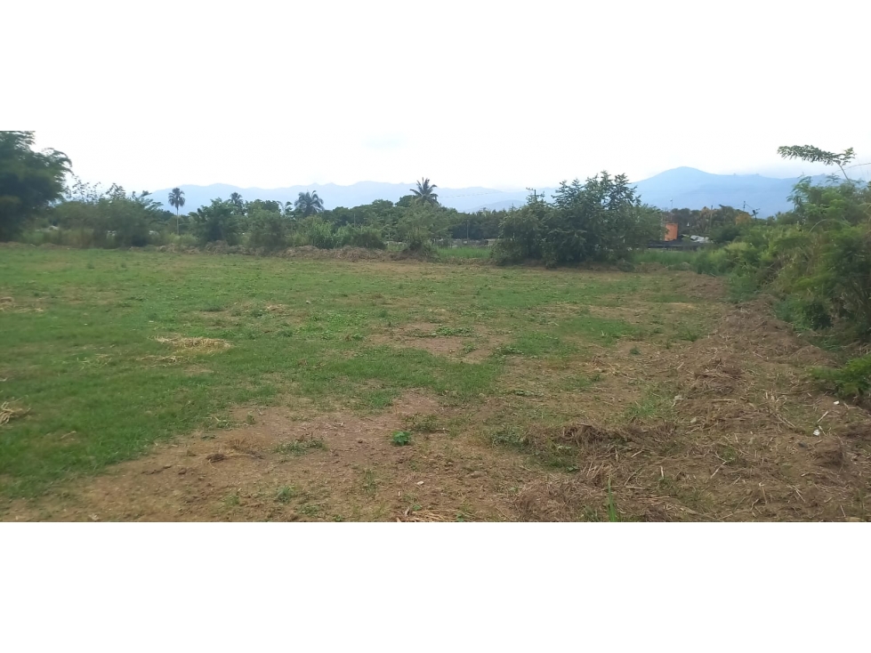 SE VENDE LOTE INDUSTRIAL INDEPENDIENTE EN CENCAR DE 7000 M2 - 5