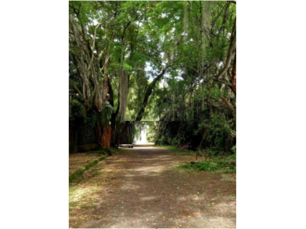 Venta de lote Independiente en Pance — foto 4