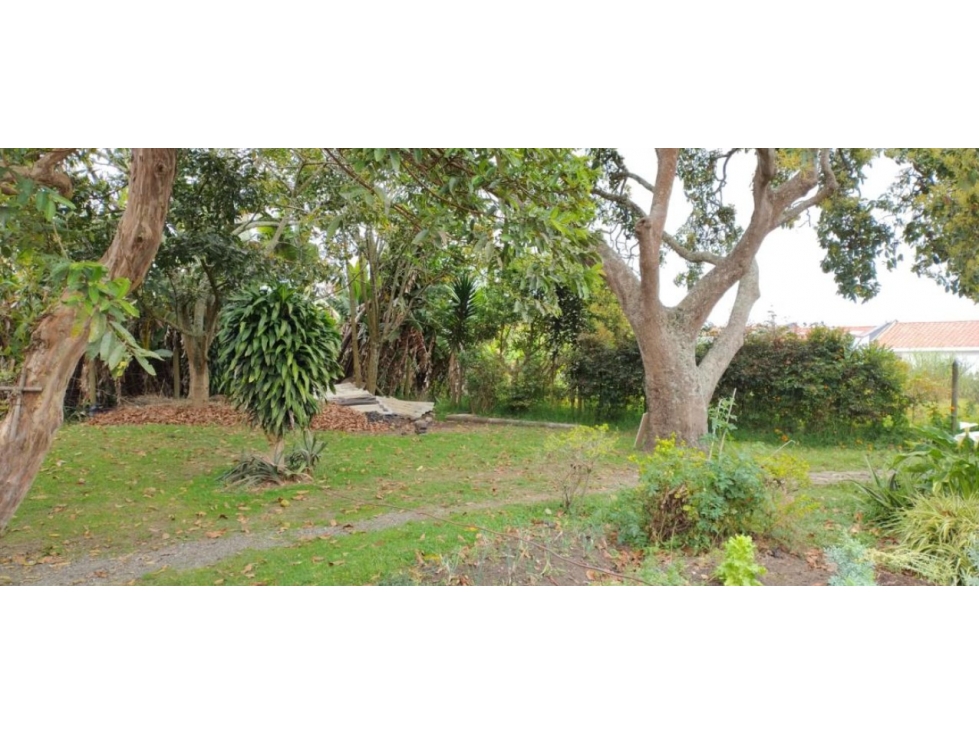 SE VENDE CASA LOTE RIONEGRO SAN ANTONIO DE PEREIRA — foto 4