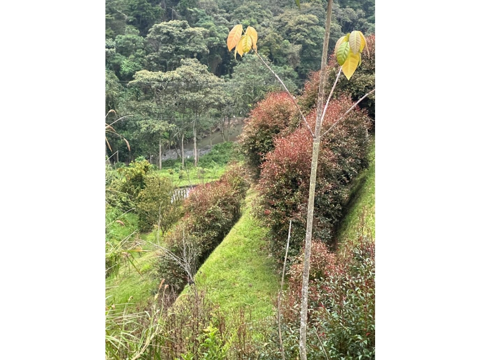 SE VENDE CONDOMINIO CAMPESTRE EN EL ALTO DE LAS PALMAS (ENVIGADO) — foto 4