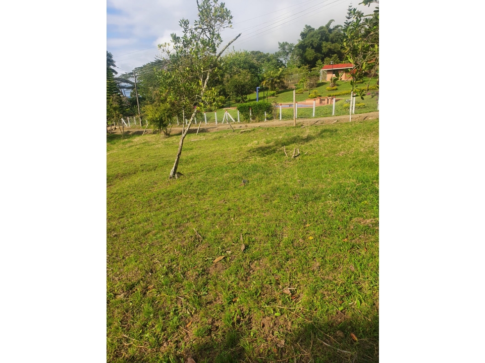 SE VENDE HERMOSO LOTE EN TOCOTA - 4